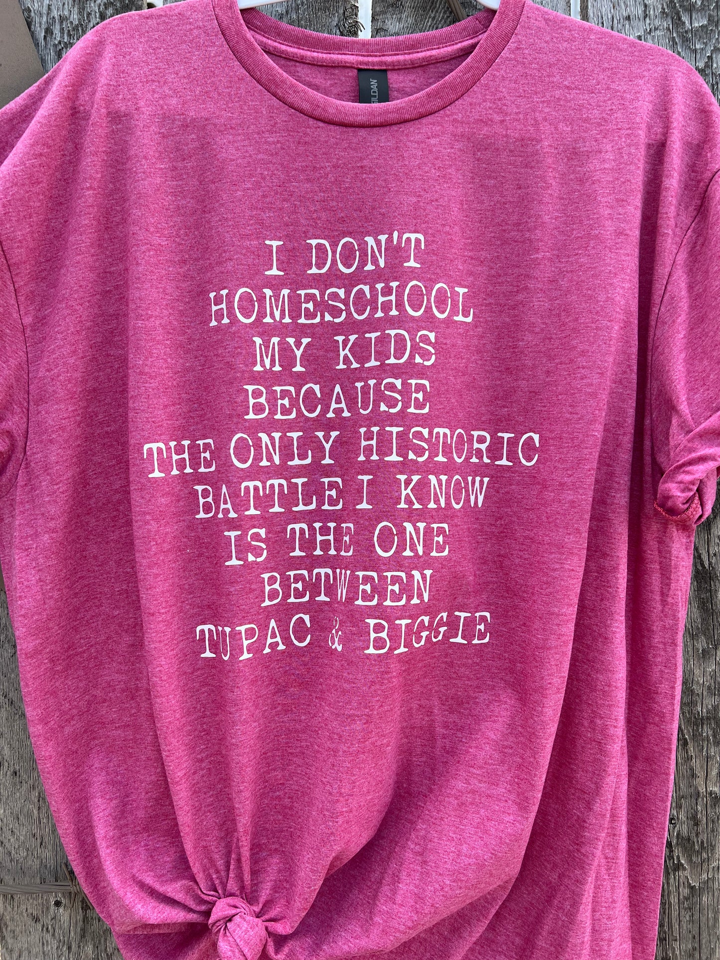 I Don’t Homeschool My Kids Because…Shirt